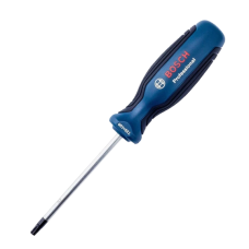Викрутка Bosch T25 Professional 100 мм