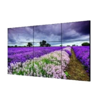 LCD Display Unit DS-2046NL-B