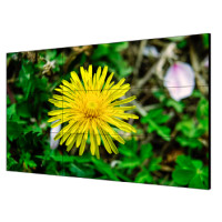 55 "екран для відео стіни Hikvision DS-D2055HE-G