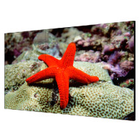 55 "екран для відео стіни Hikvision DS-D2055LU-Y