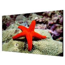 55 "екран для відео стіни Hikvision DS-D2055LU-Y