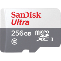 Модуль флеш-пам'яті SanDisk Ultra microSDXC 256GB 100MB/s Class 10 UHS-I